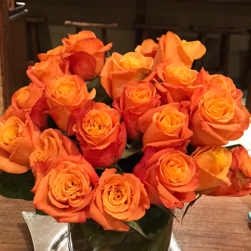 Meet your Posher, Isabel